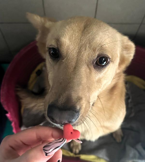 MANUEL DOLCE E TIMIDO Foto 6